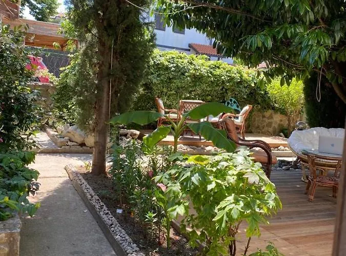 게스트하우스 Satmar